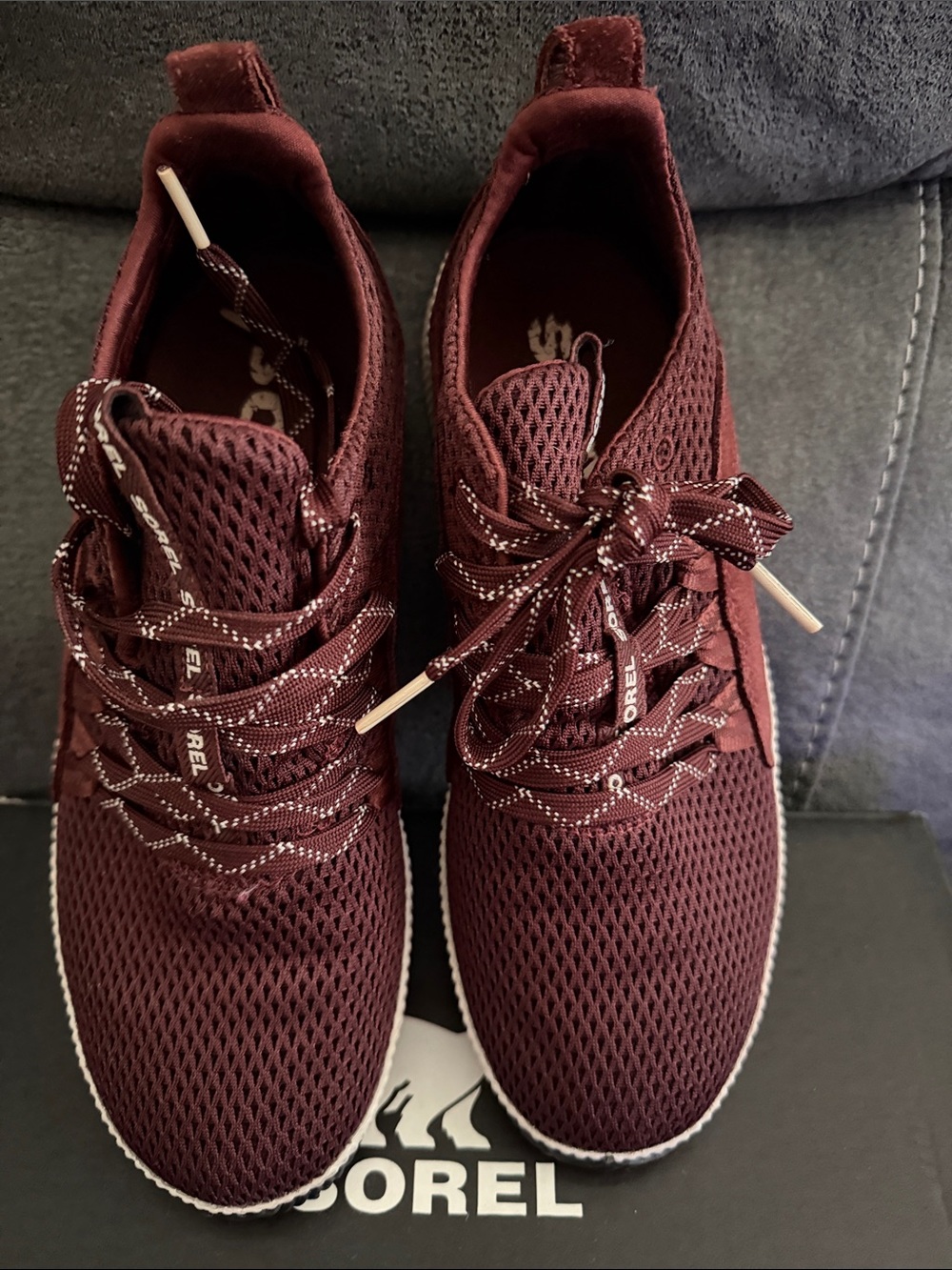Sorel Out N About Plus Sneaker  - Redwood/maroon size 7